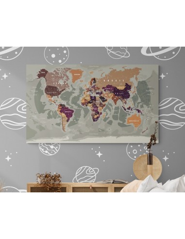 Planisphère mondial décoratif en français