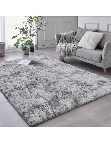 Tapis de Salon - Velvetia