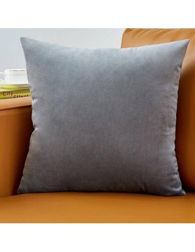 Housse de coussin en Velours - Gris Clair