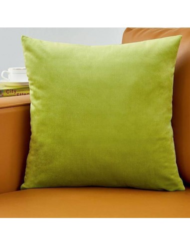 Housse de coussin en Velours - Vert Clair